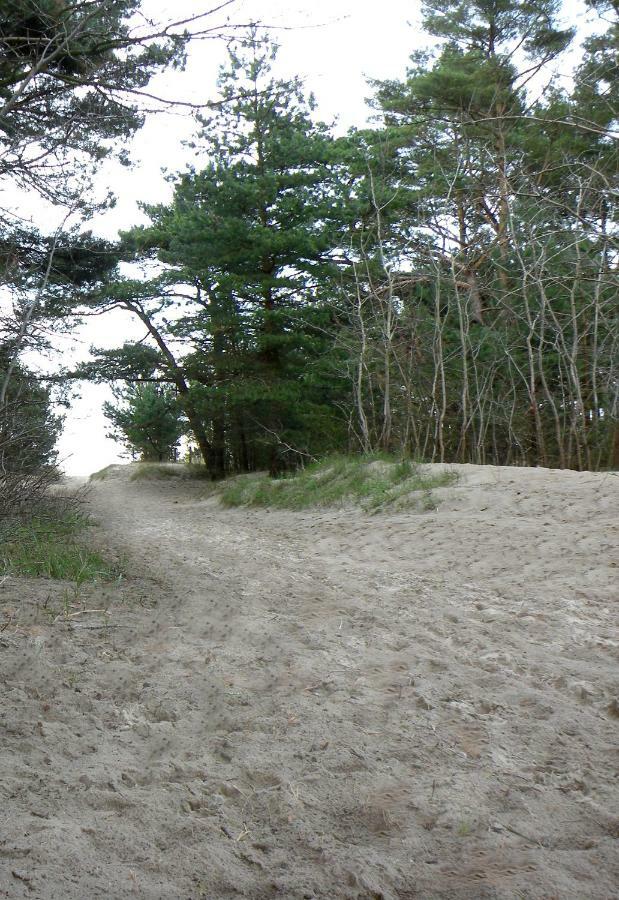 Idylle unterm Reet - Reetdachhäuser am Walde Trassenheide Exterior foto