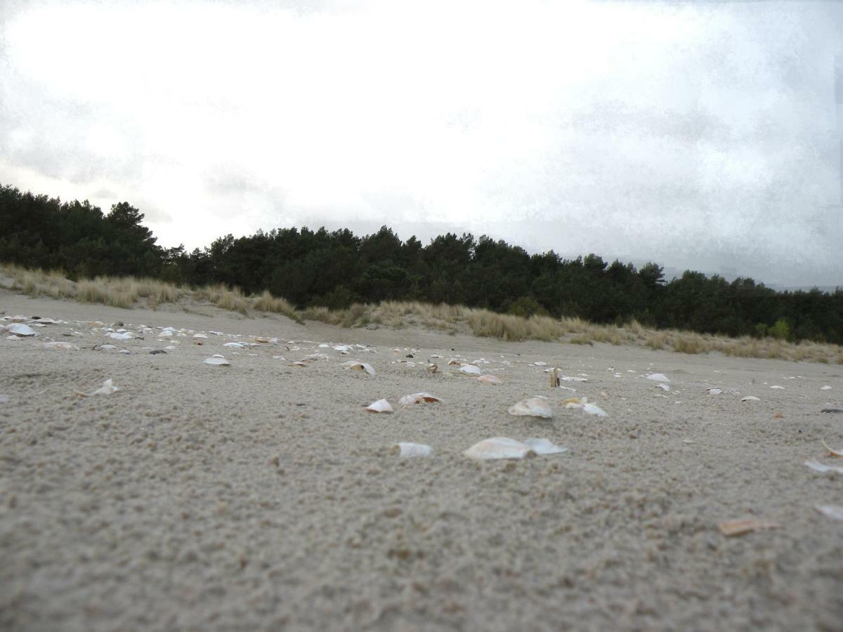 Idylle unterm Reet - Reetdachhäuser am Walde Trassenheide Exterior foto